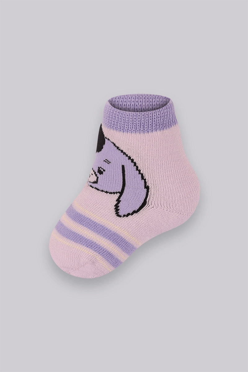 Lavanda
