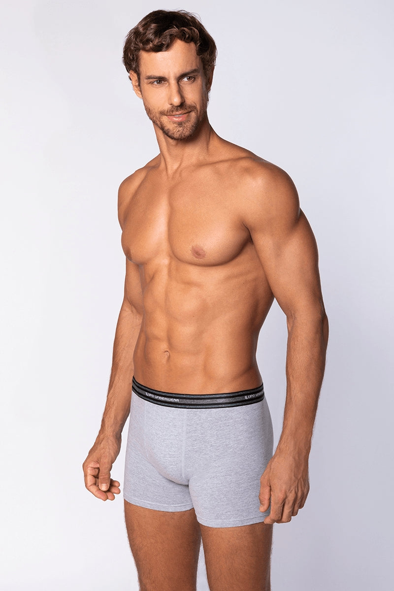 Mescla Cinza